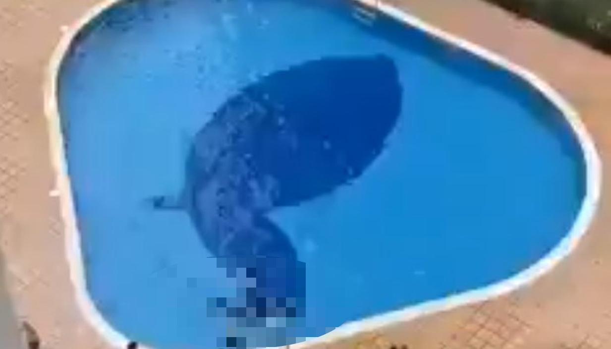 La piscina del conjunto residencial de Neiva en la que ocurrió el accidente.