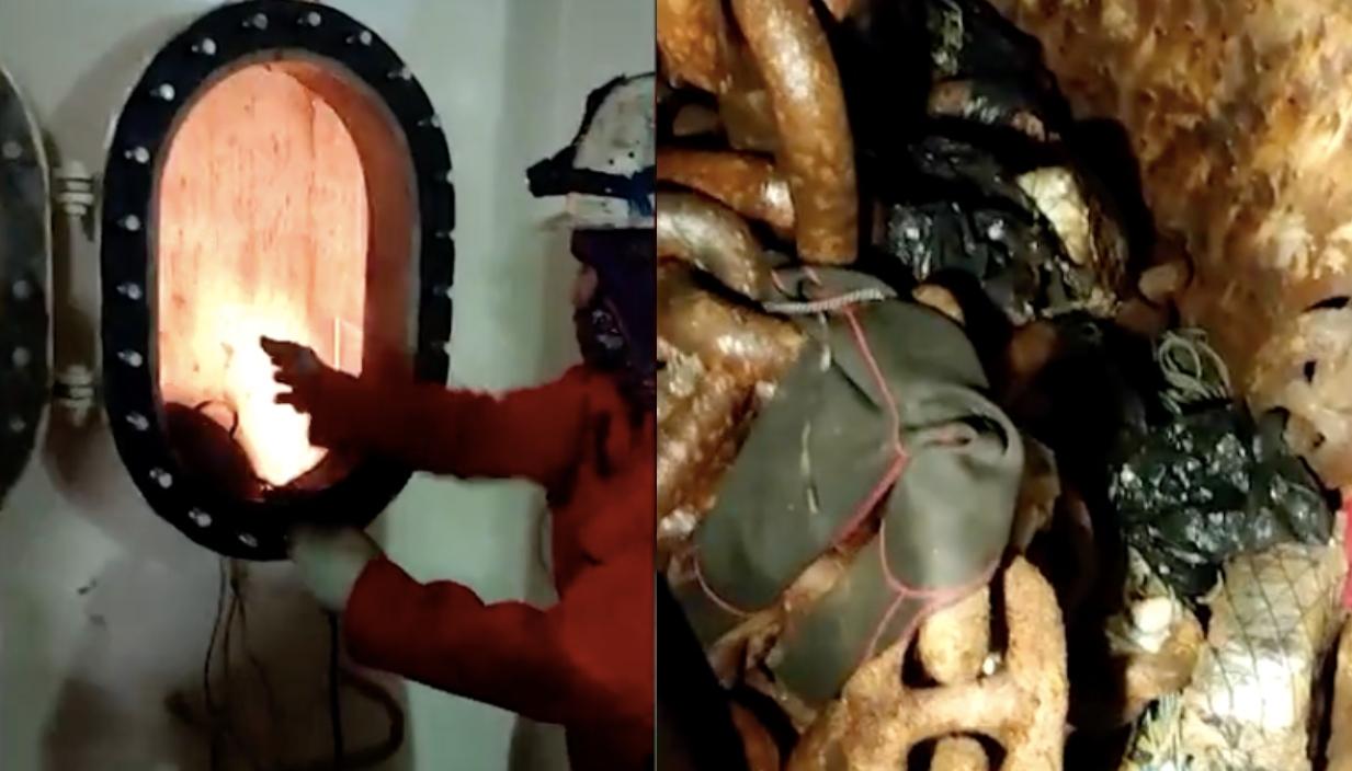 Momentos de la captura.
