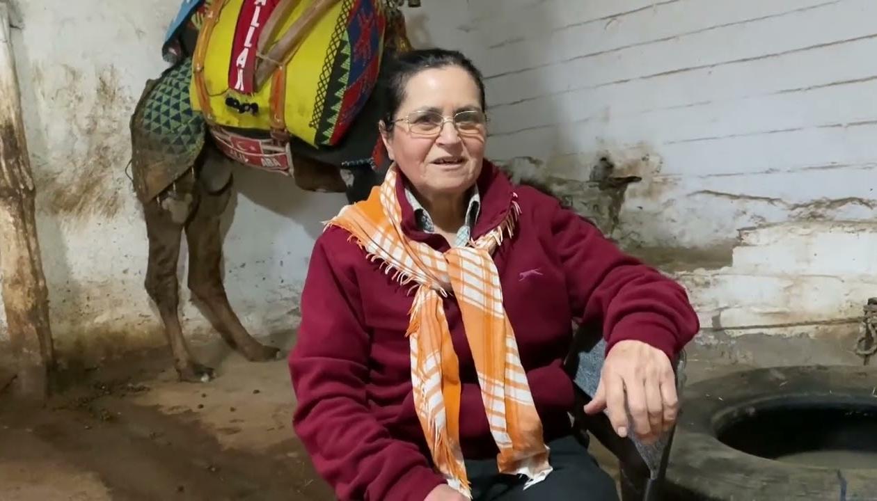 Habibe Yüksel.