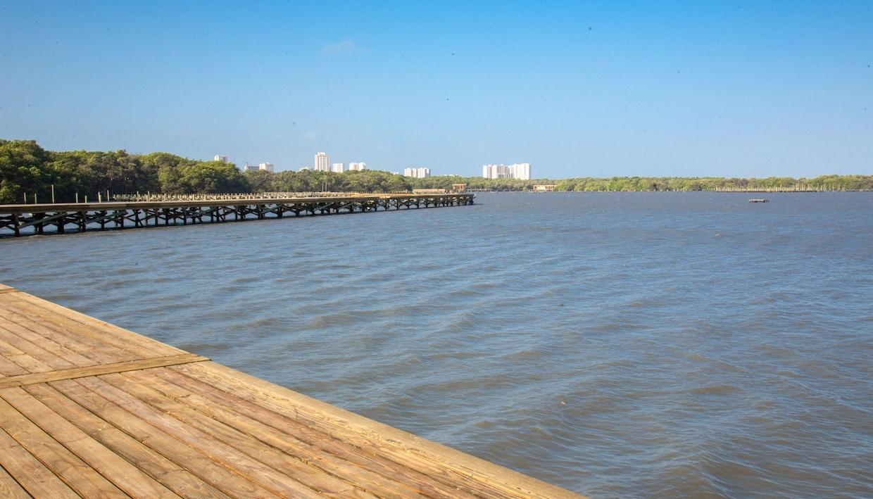 Panorámica actual de la ciénaga de Mallorquín.