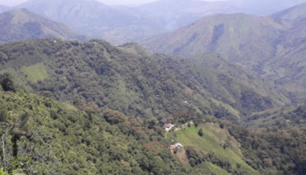 Vereda Santa Clara, en la Sierra Nevada. 