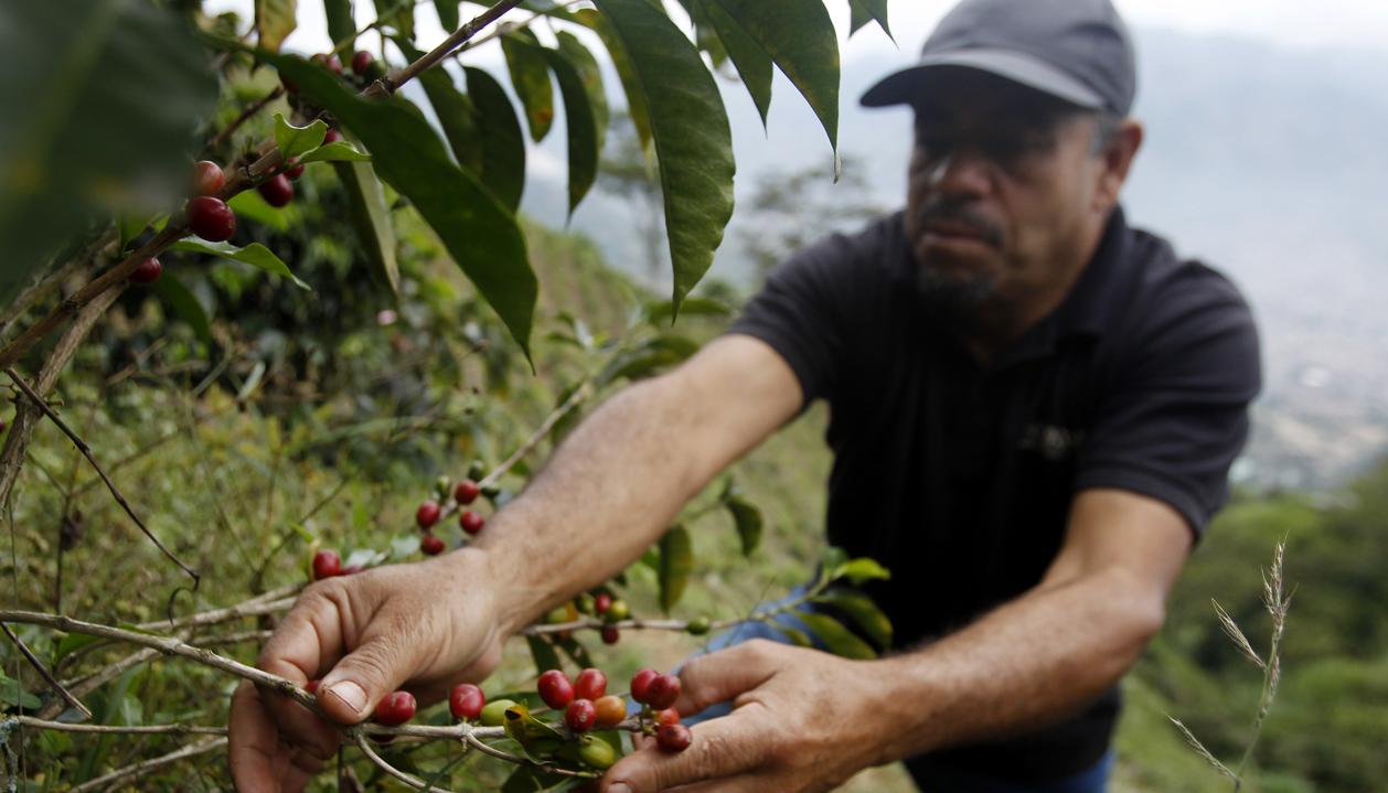 Walter Enrique Patiño, propietario de la finca "Nuevo Cielo".