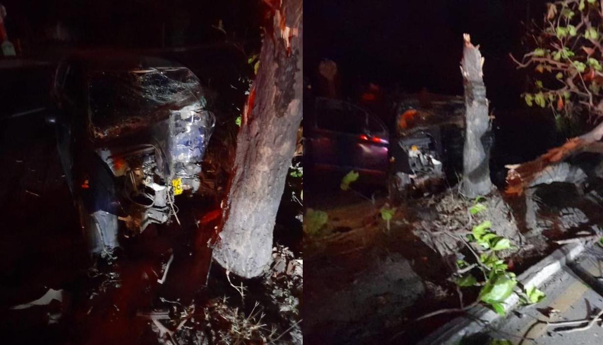 El vehículo chocó contra este árbol en la Vía Oriental. 