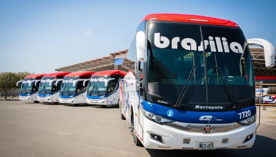 Buses de Expreso Brasilia.
