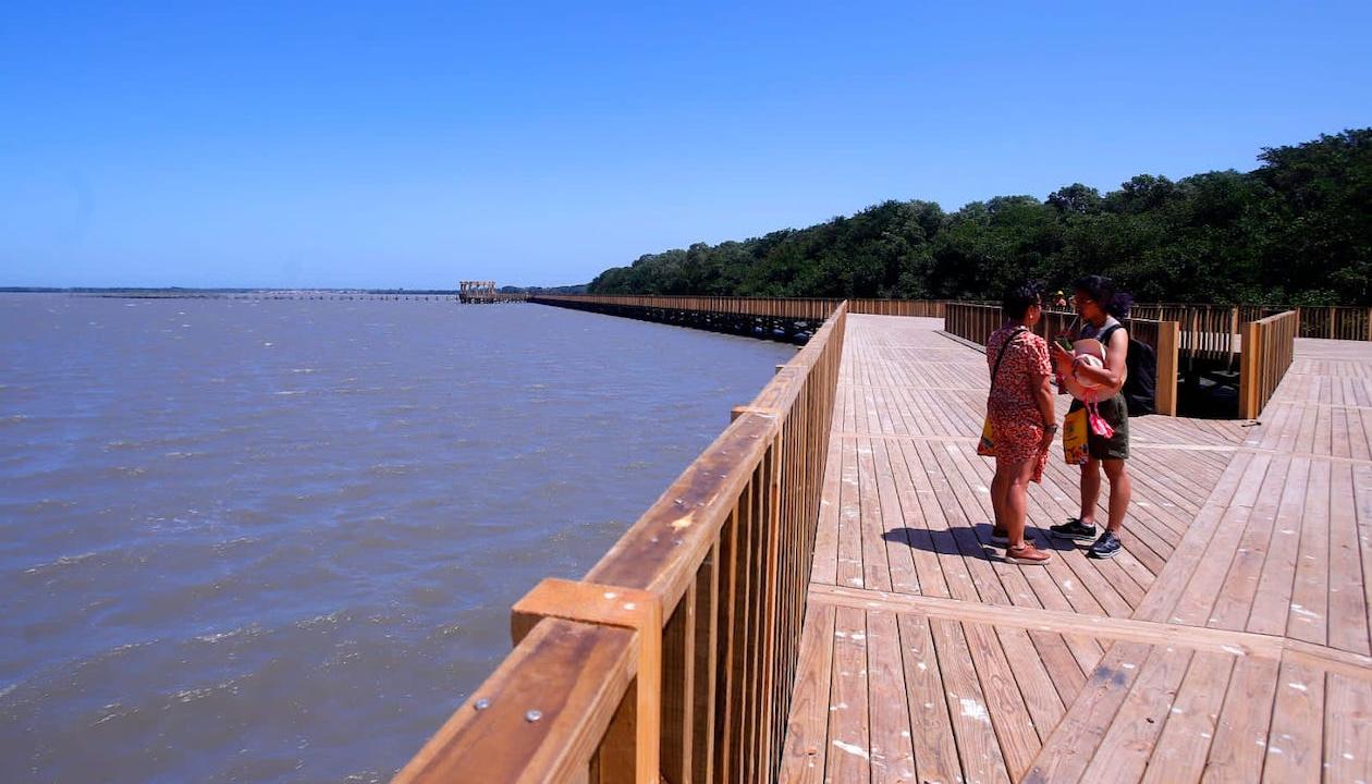 Panorámica de la Ciénaga de Mallorquin.