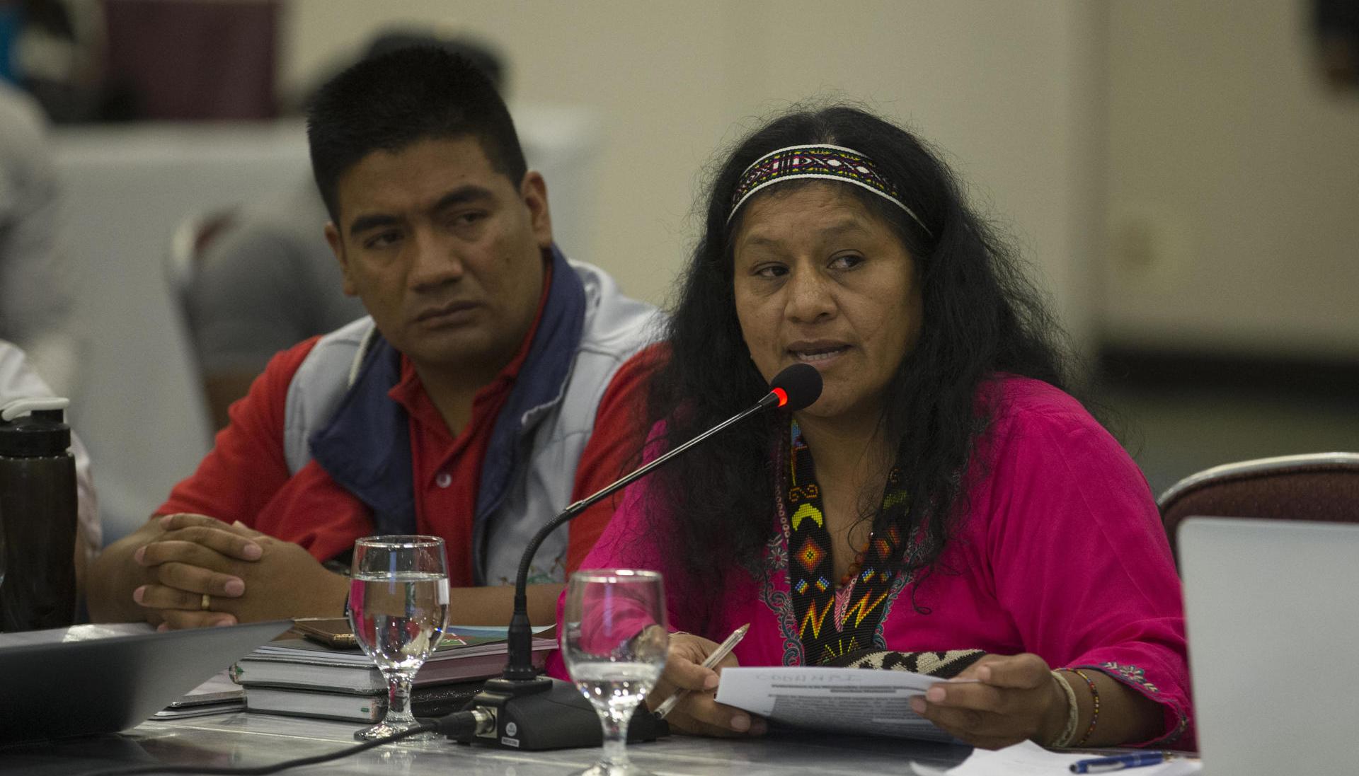 La senadora de la Circunscripción Especial Indígena, Aida Quilcué, pidió esclarecer atentado contra la gobernadora del cabildo indígena de El Vergel, Huila, Ana Teresa Manjarrés.