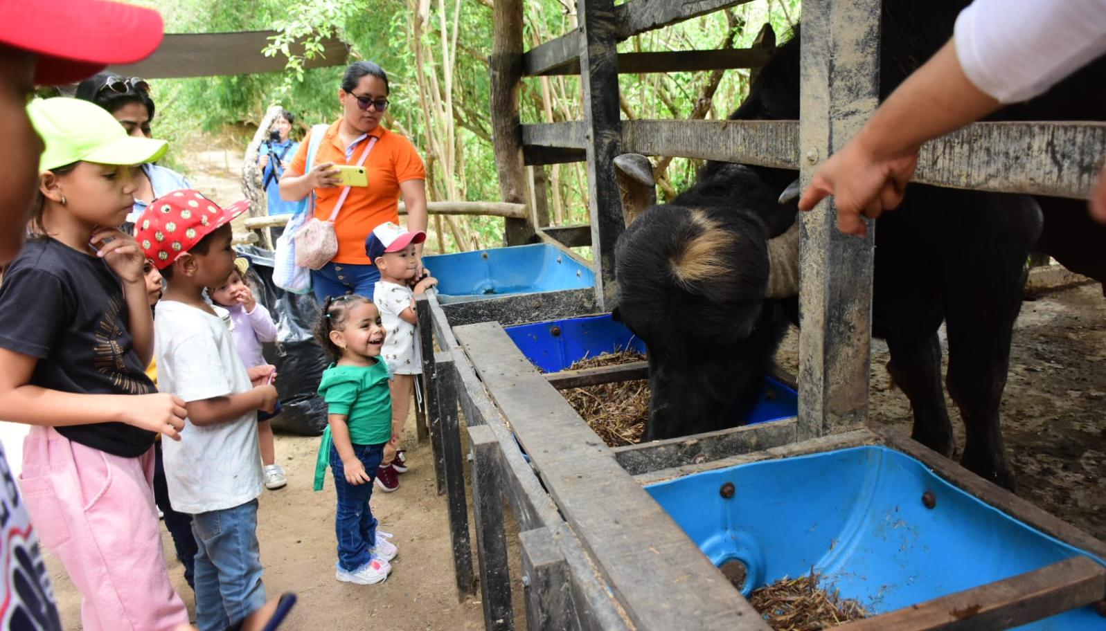 Los niños disfrutan del contacto con la naturaleza y los animales 