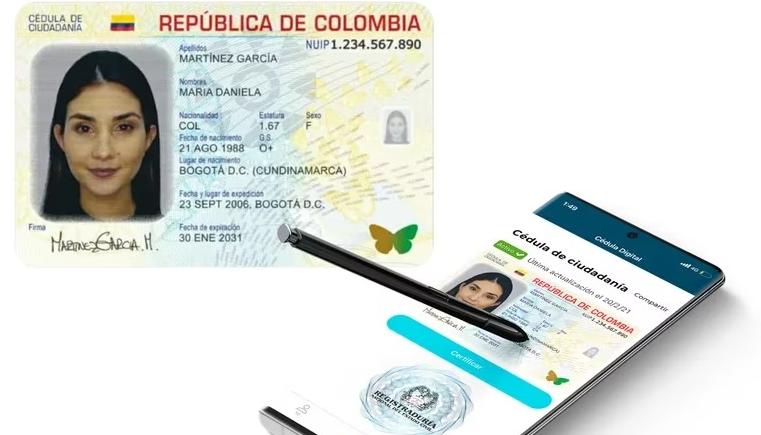 Imagen de referencia.
