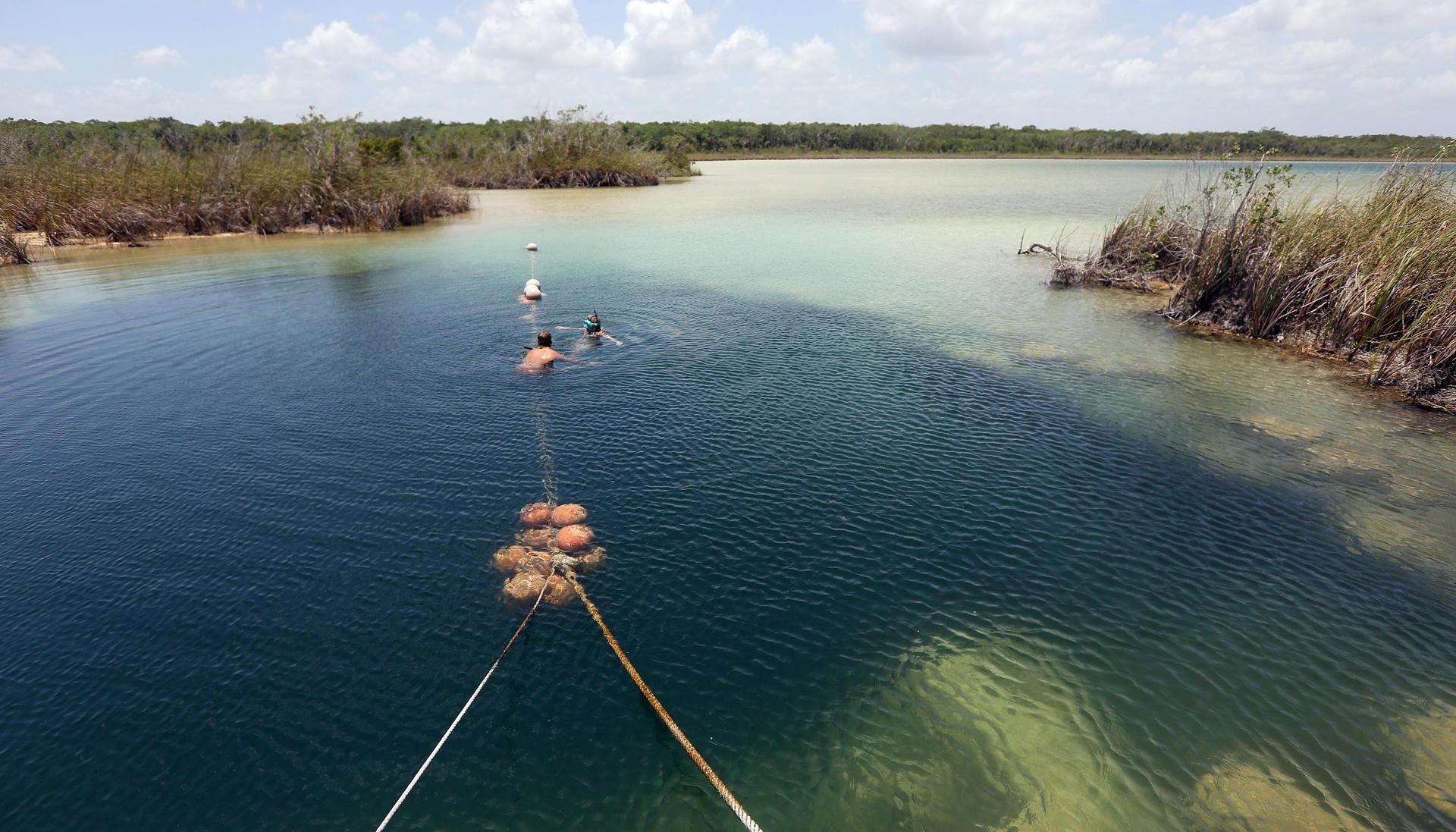 Laguna de la reserva Much Kanan Ka’ax en México