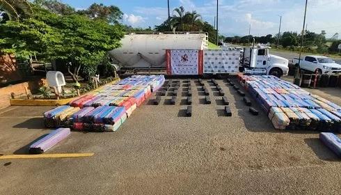 Seis toneladas de marihuana tipo creepy fueron incautadas.