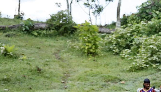 Migrantes en su camino hacia Panamá por la selva del Darién.