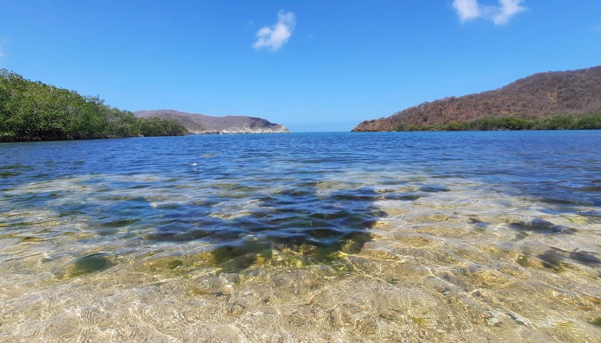 Playa protegida del Parque Tayrona donde se halló la coexistencia entre manglares y corales. 