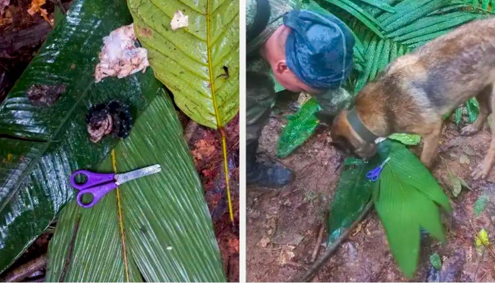 La tijera y unas 'moñitas' fueron halladas en la zona en donde cayó la avioneta