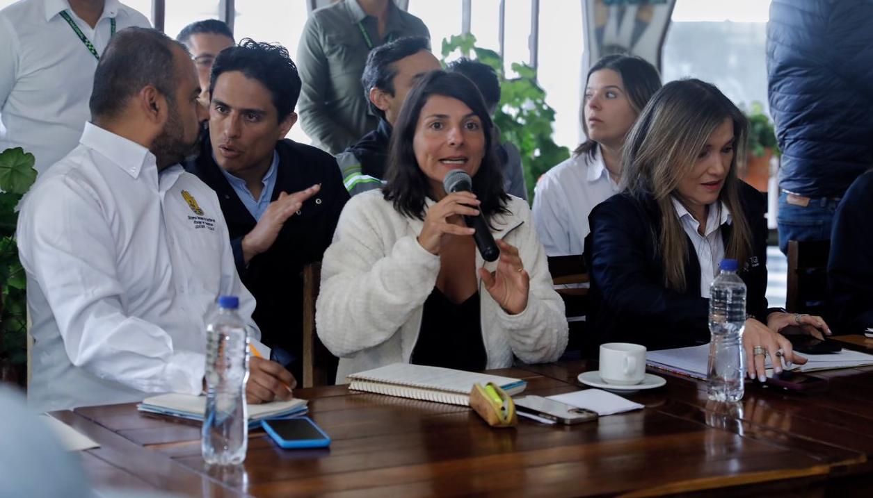La Ministra de Minas y Energía, Irene Vélez.