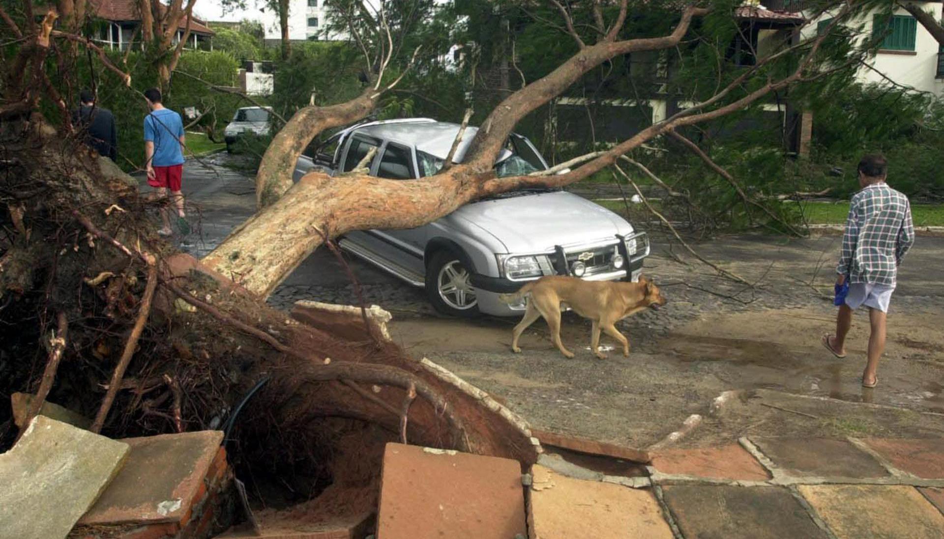 El fenómeno natural dejó destrucción en esa zona de Brasil. 