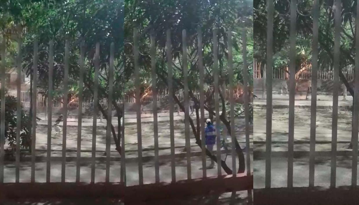 Enfrentamiento entre pandillas en Las Gardenias