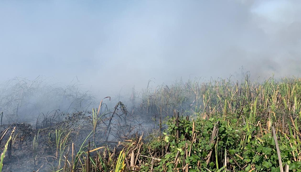 Incendio en el Parque Isla Salamanca