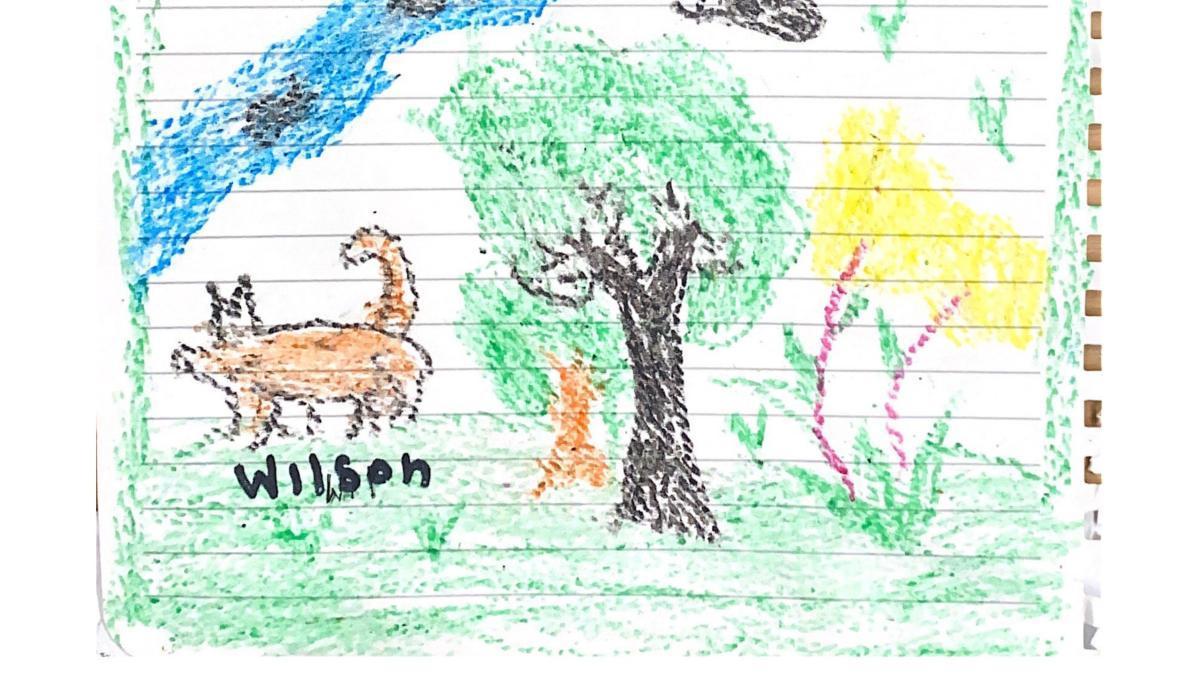 El dibujo que realizó Lesly.