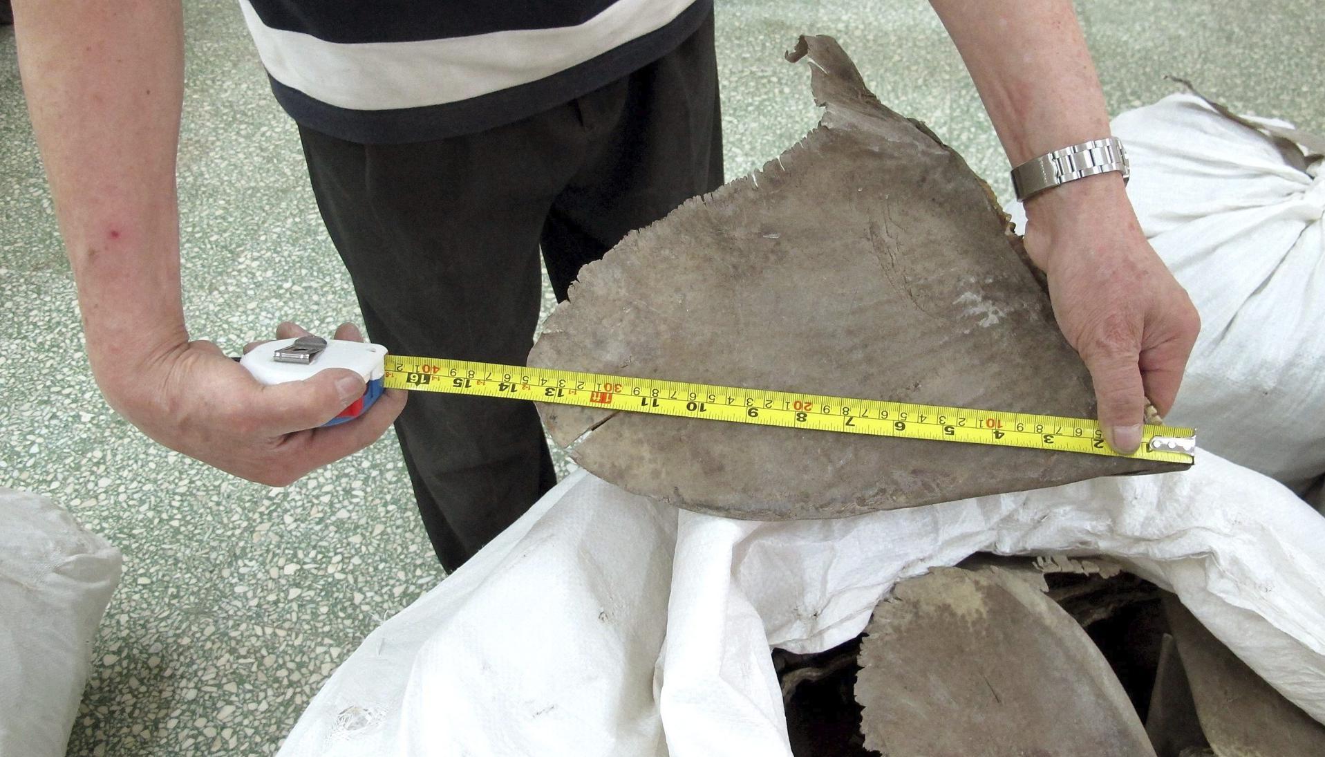 Incautaron 28,7 toneladas de aletas de tiburón.