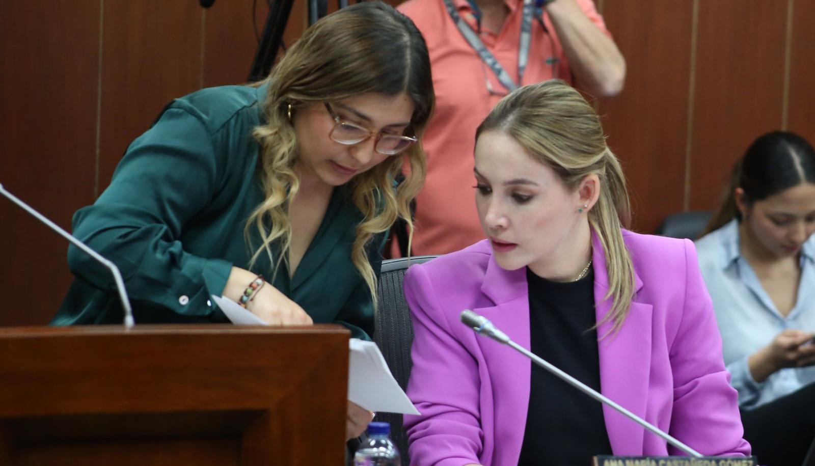 Ana María Castañeda, senadora ponente del proyecto de ley para fortalecer el PAE.