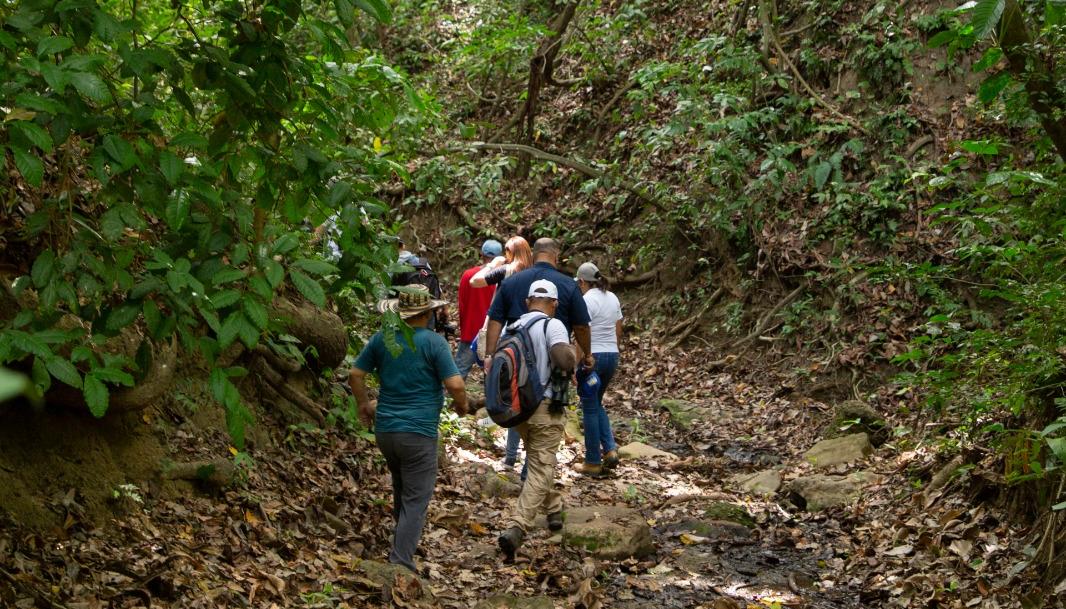 En la región Caribe han sido priorizadas 880.000 hectáreas de conservación
