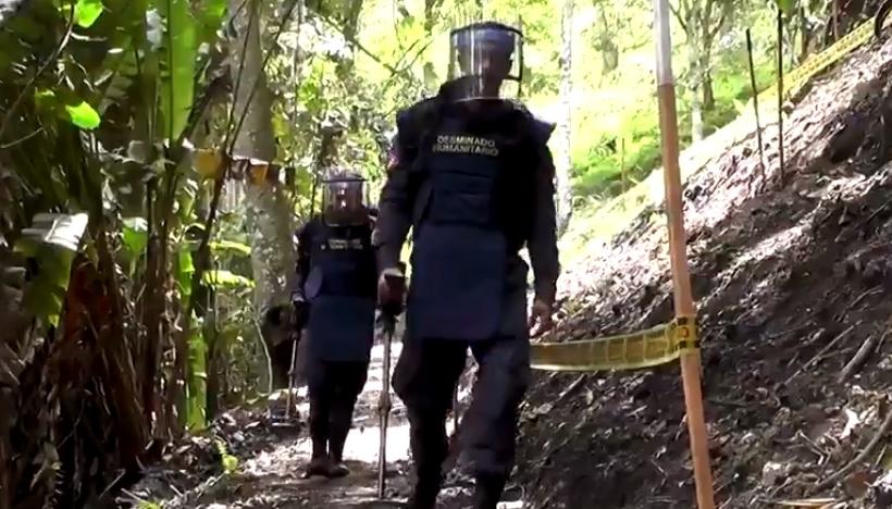 La misión de desminado está trabajando en el municipio de Mesetas