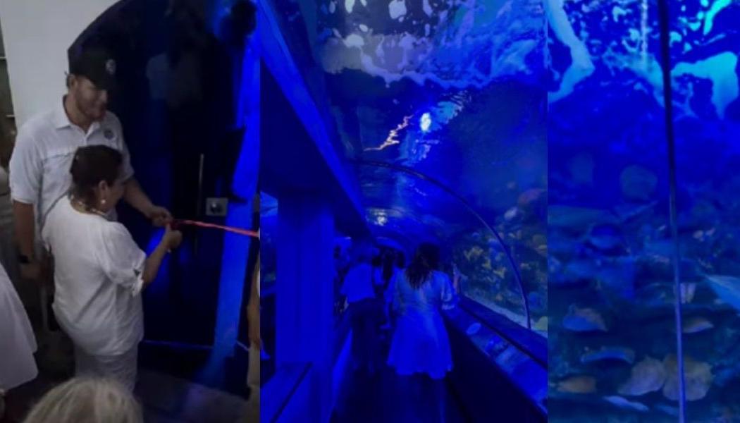 Acuario de El Rodadero.