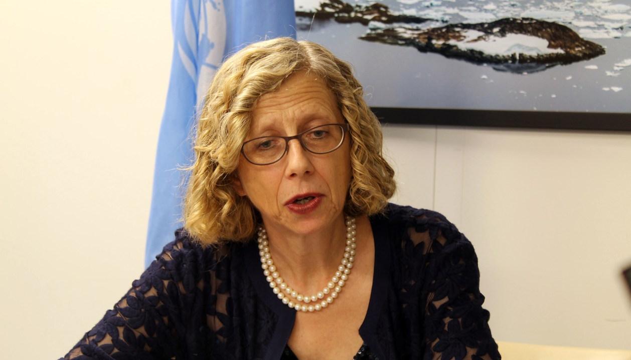 Directora del Programa de Naciones Unidas para el Medioambiente, Inger Andersen.