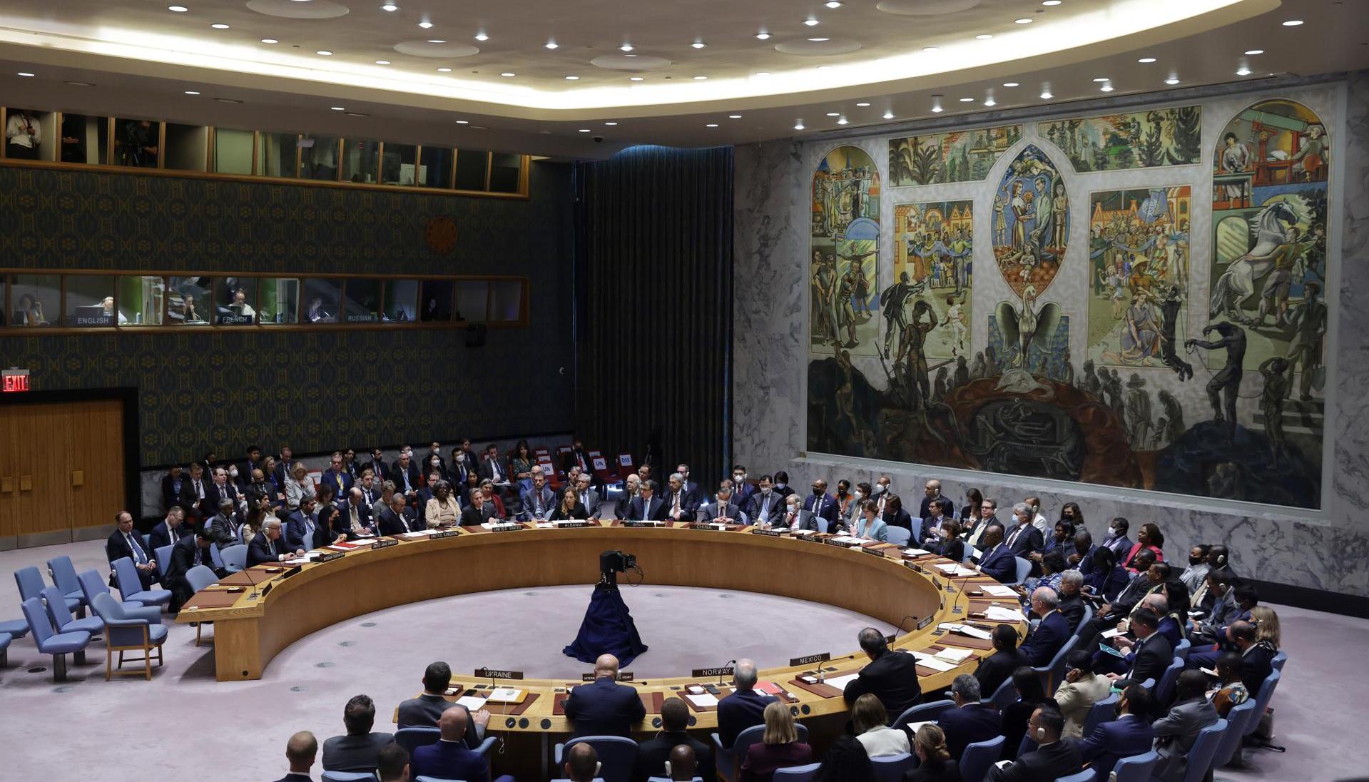 Consejo de Seguridad de la ONU. 