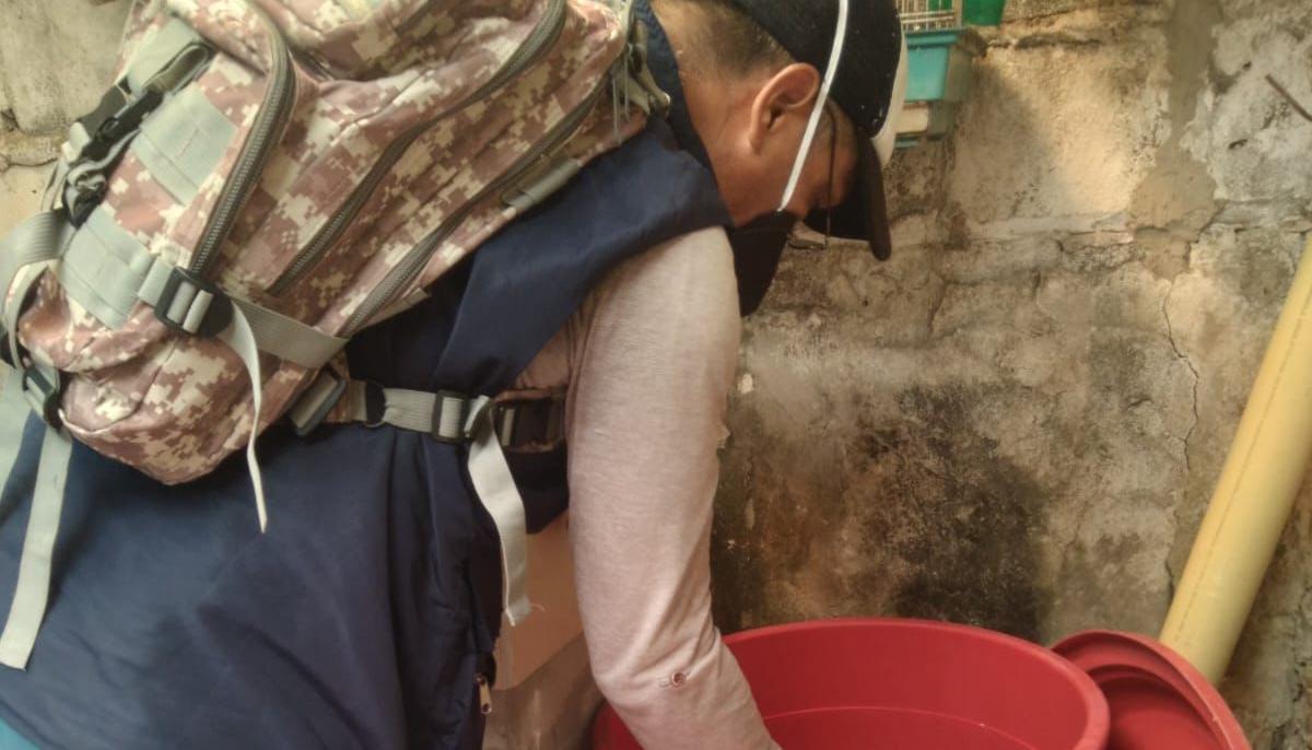 Actividades de revisión de tanques con agua para prevenir casos de dengue. 