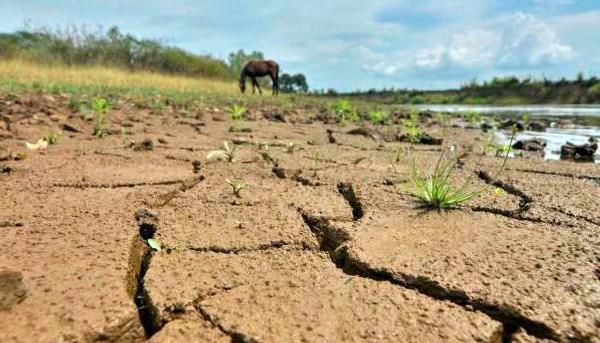 Fenómeno de El Niño.
