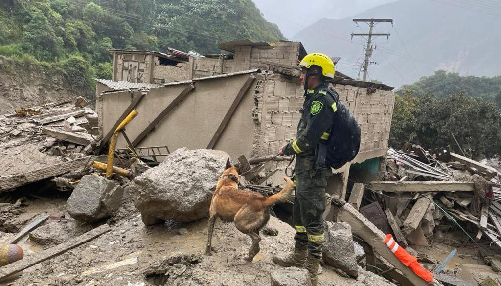 La Policía en las labores de búsqueda y rescate. 