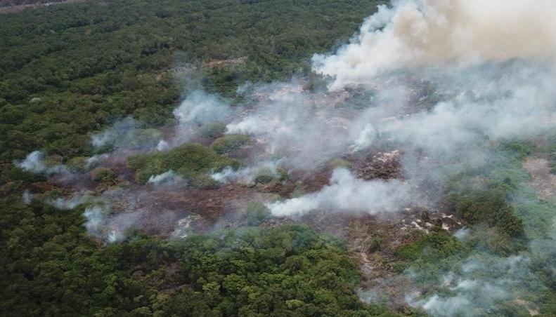 Procuraduría conmina a MinAmbiente a proteger ecosistema del Parque Isla Salamanca