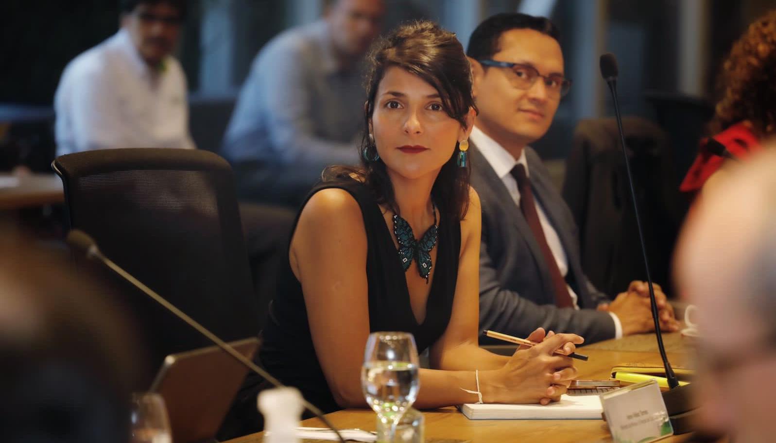 La Ministra de Minas y Energía, Irene Vélez Torres.