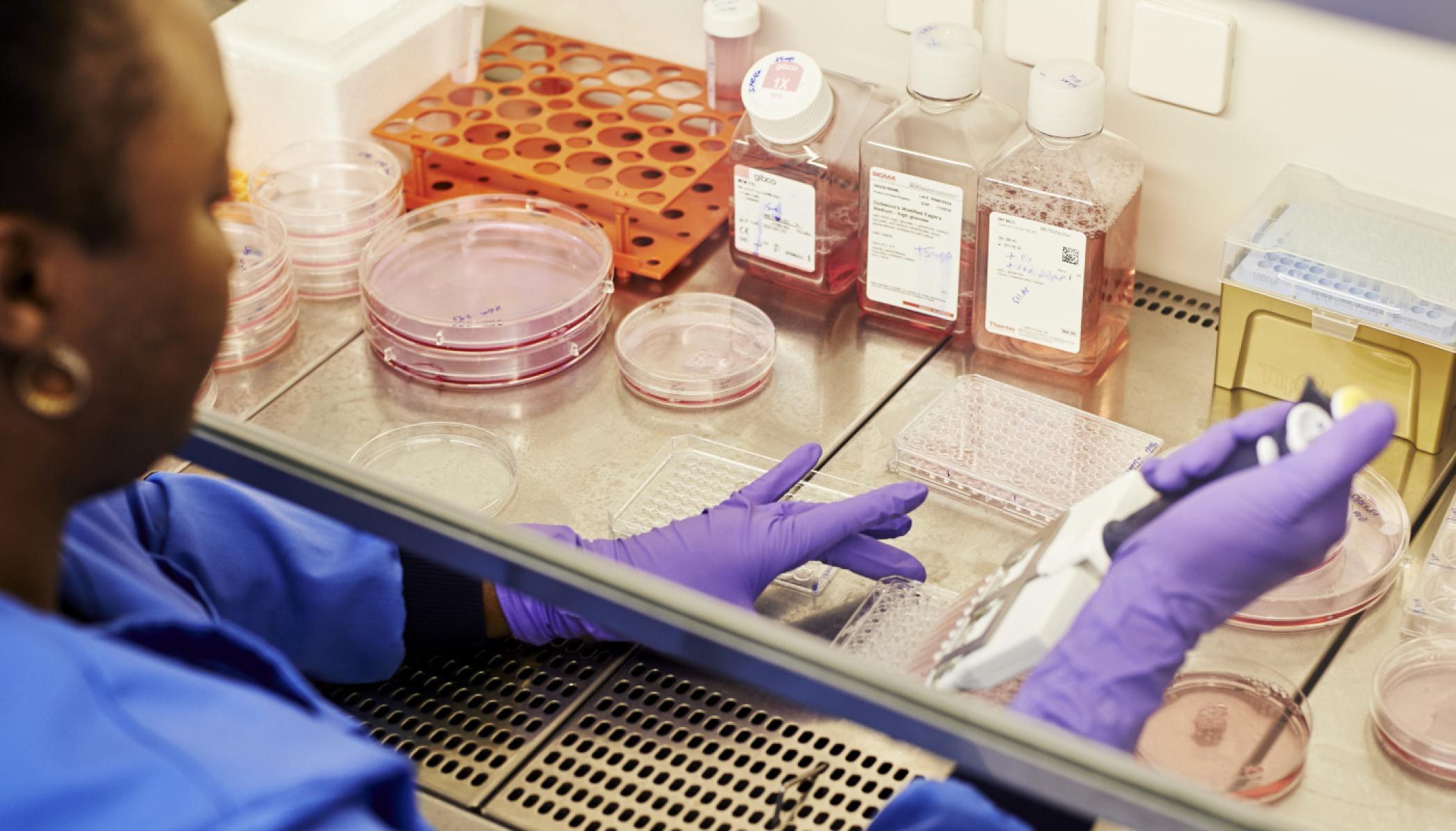 El medicamento fue desarrollado por la farmacéutica japonesa Eisai