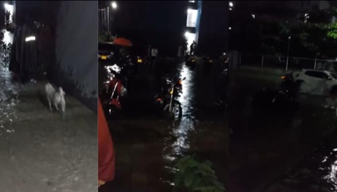Emergencias en los barrios Calamarí y Caribe Verde