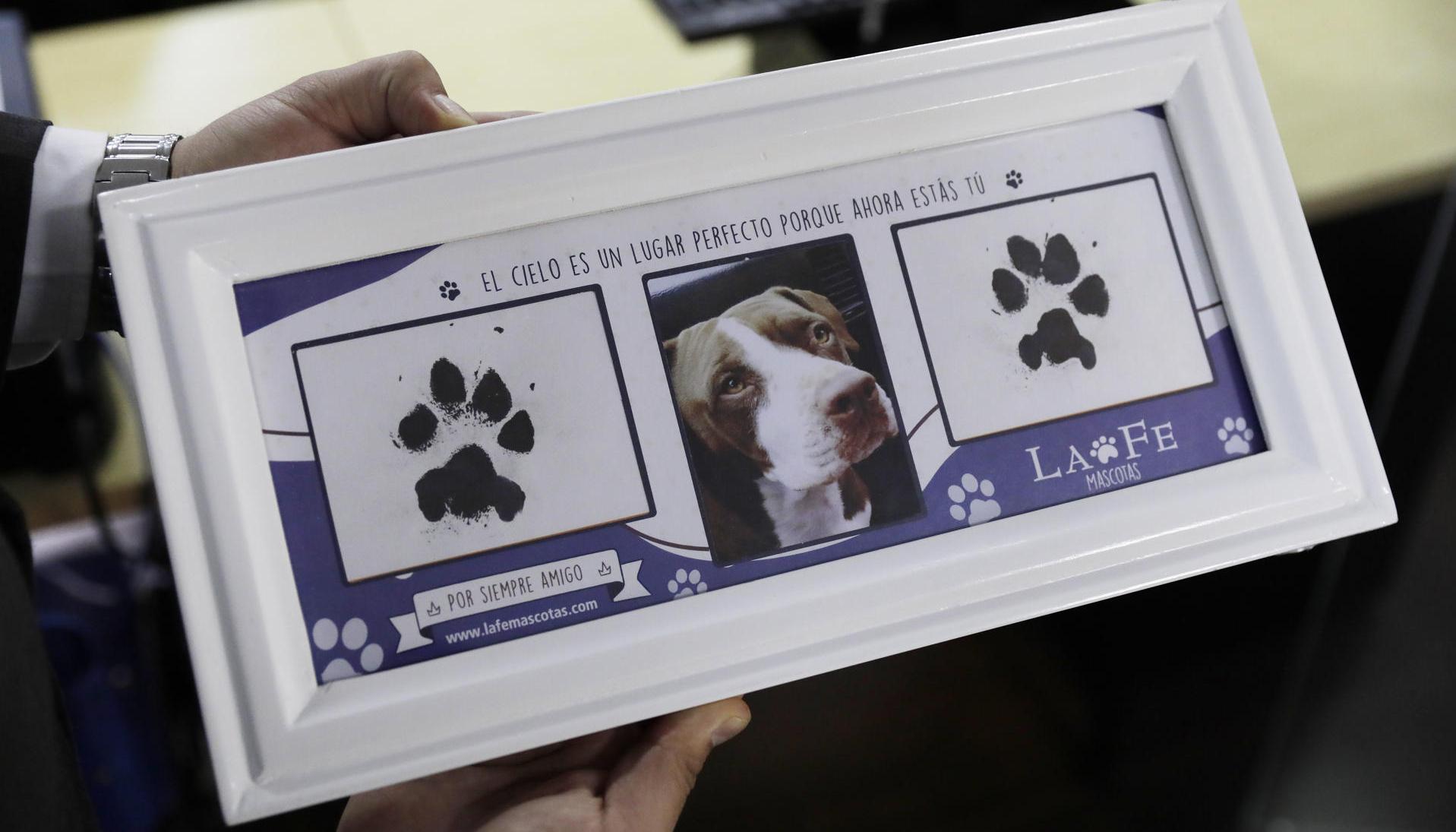 Cementerio de mascotas.