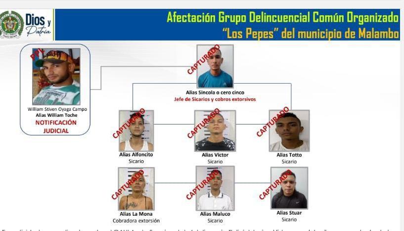 Organigrama de Los Pepes del Sur