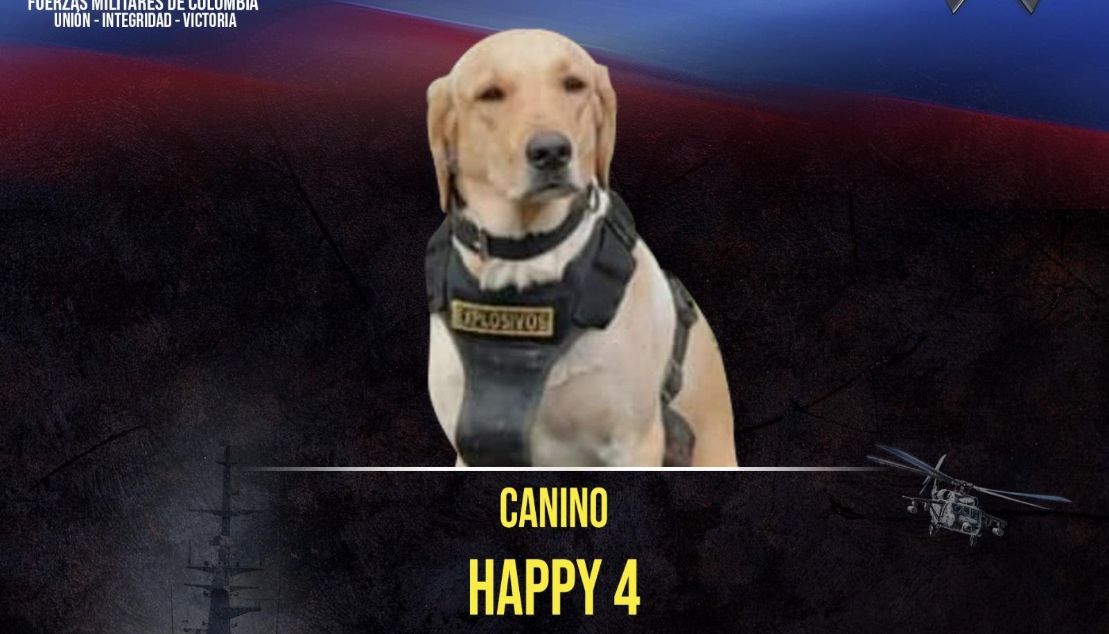 ‘Happy’, el perro labrador antiexplosivos del Ejército que murió en el atentado. 