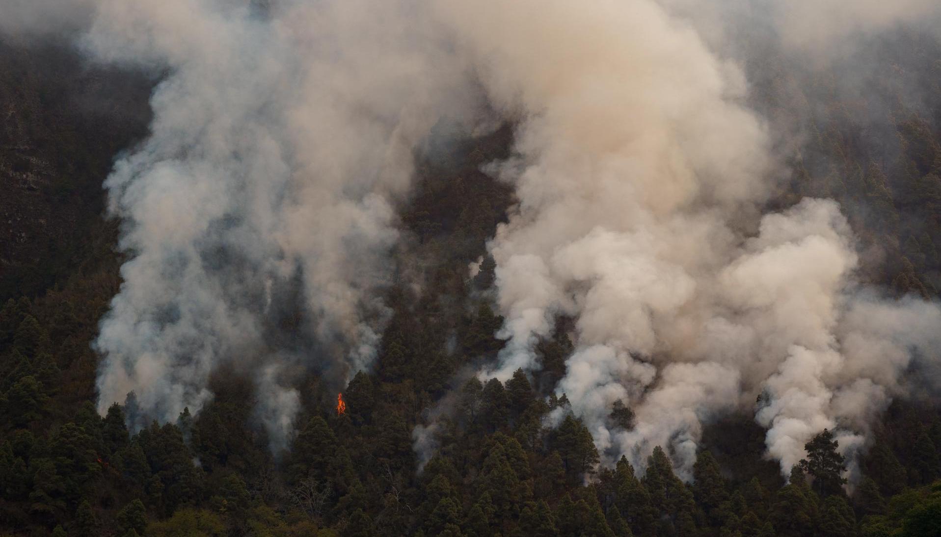 Una columna de humo frente al barrio de Pinolere, en el municipio de La Orotava