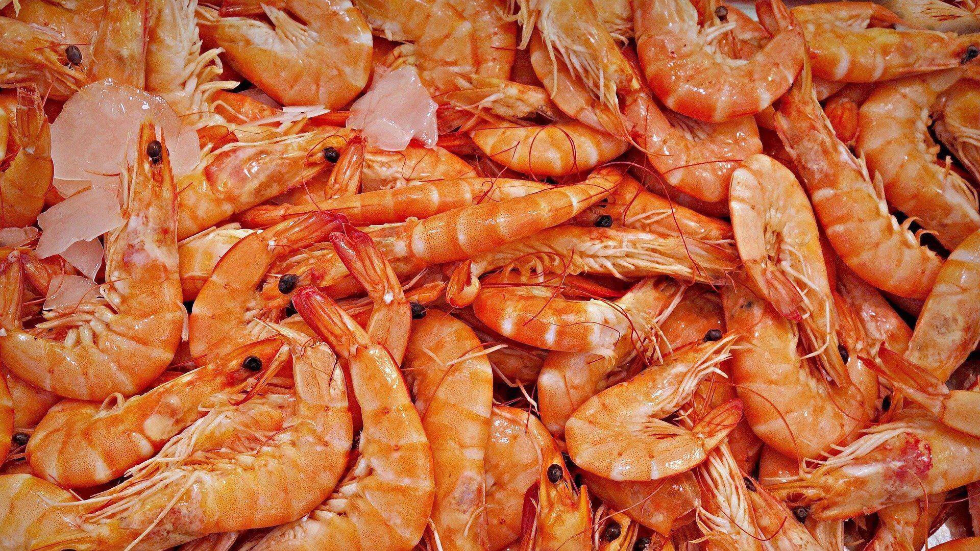 Camarones. 