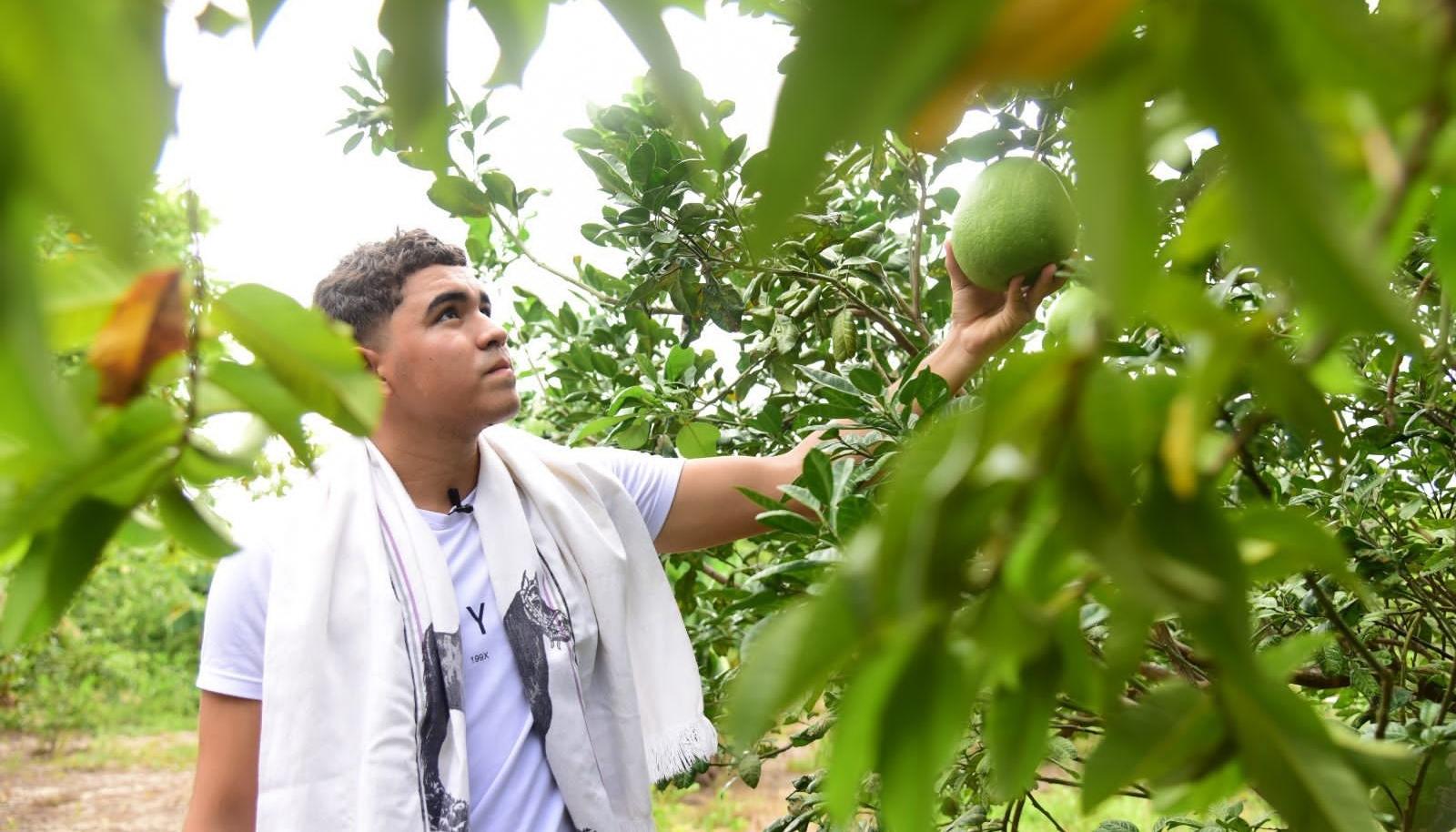 Jhon Escobar en su ‘Huerta autosostenible adaptada al trópico Caribe’.
