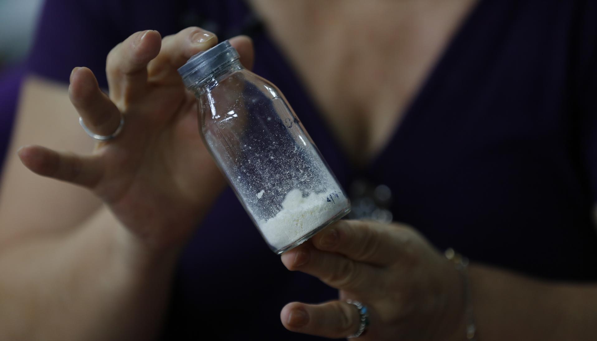 Leche materna en polvo