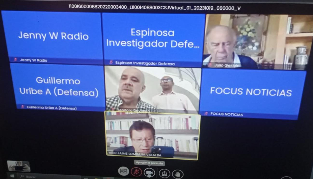 Imagen de la audiencia virtual.