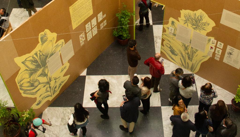 Exposición 'A través de la crisálida'.