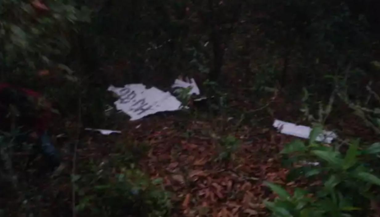 Lugar donde se accidentó la avioneta. 