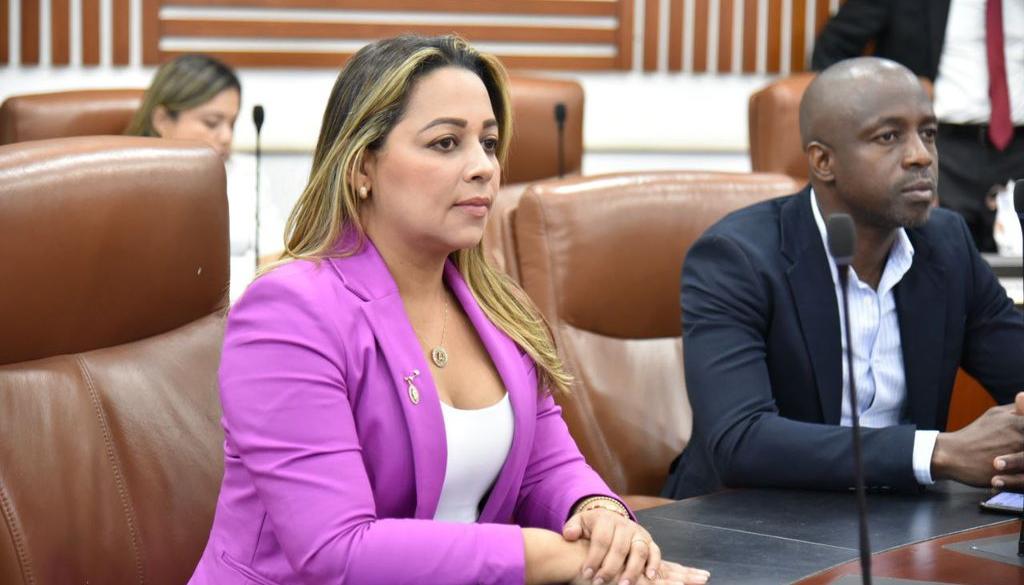 Ana Paola García Soto, Representante a la Cámara 