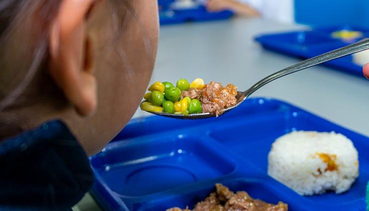 Para la FAO, en América Latina y el Caribe, la malnutrición infantil es una problemática que, en sus distintas formas