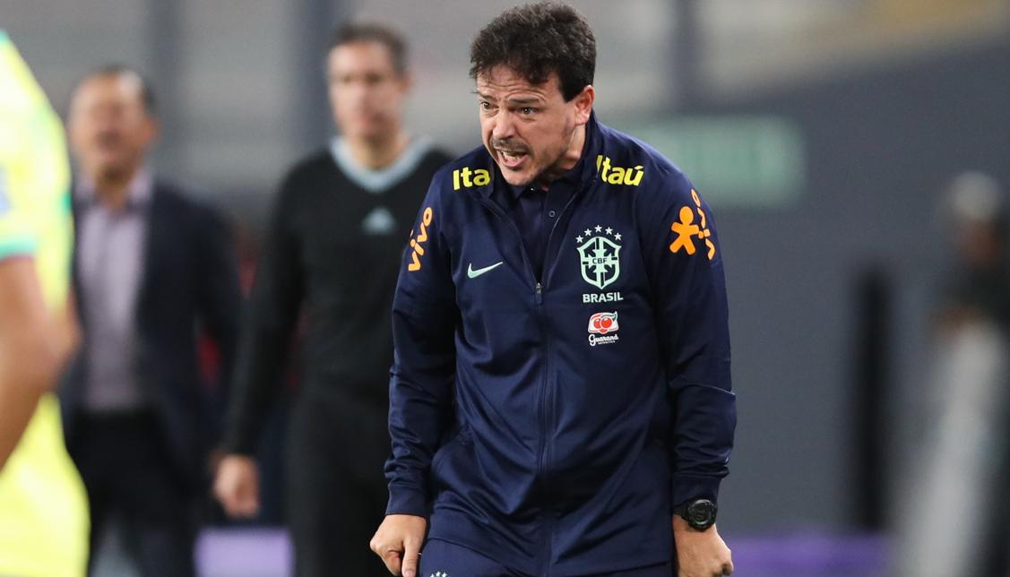 Fernando Diniz, técnico interino de la selección brasileña. 