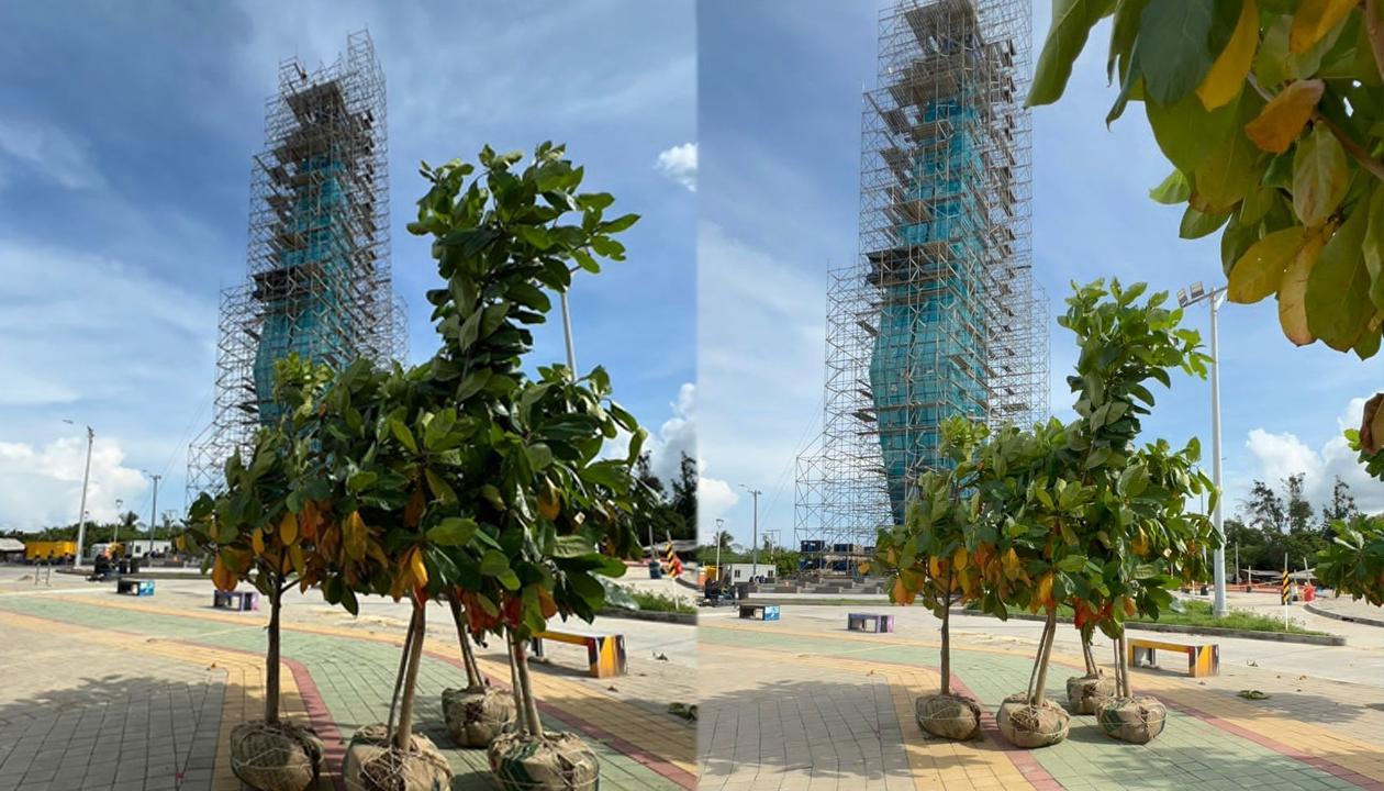 Plan de siembra de especies nativas y plantas ornamentales puesto en marcha.